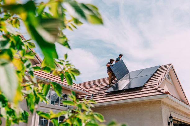 Best Roof Moss and Algae Removal  in Sargent, TX